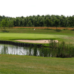 Beplanting på golfbanen bør såvidt muligt vælges så allergikere ikke bliver stærkt belastet. 