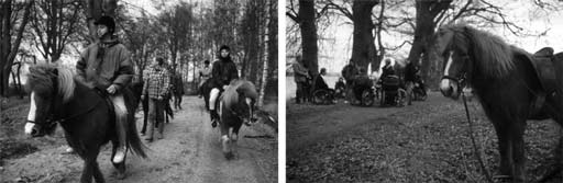 Muligheden for at ride ud i naturen er vigtig. Derfor bør man gøre ridestier så tilgængelige som muligt og samtidig tage hensyn til naturen, fotos: Sonja Iskov